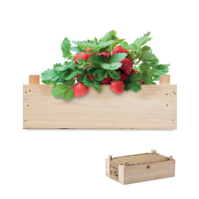 Plantekasser med logo tryk