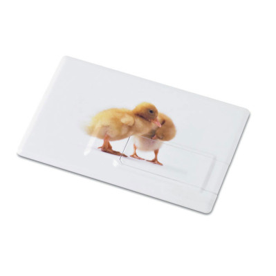 USB 16GB kreditkort bagside