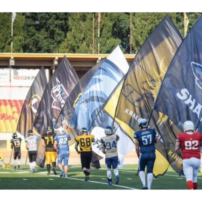 Sports flag med logo og tryk