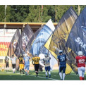 Sports flag med logo og tryk