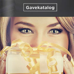 Firmajulegave katalog